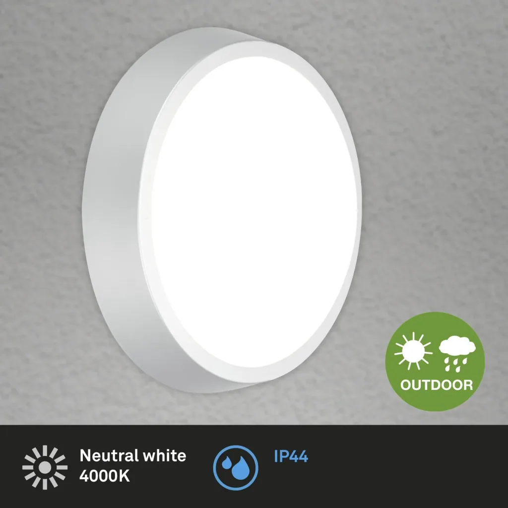 HAGEN LED Außenleuchte, Wand- und Deckenleuchte, silberfarben, IP44, 24 Watt, 2.160 lm, 4.000 K