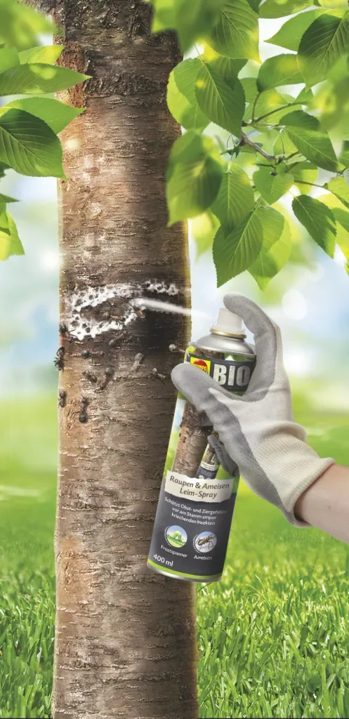 BIO Raupen & Ameisen Leim Spray - 400 ml