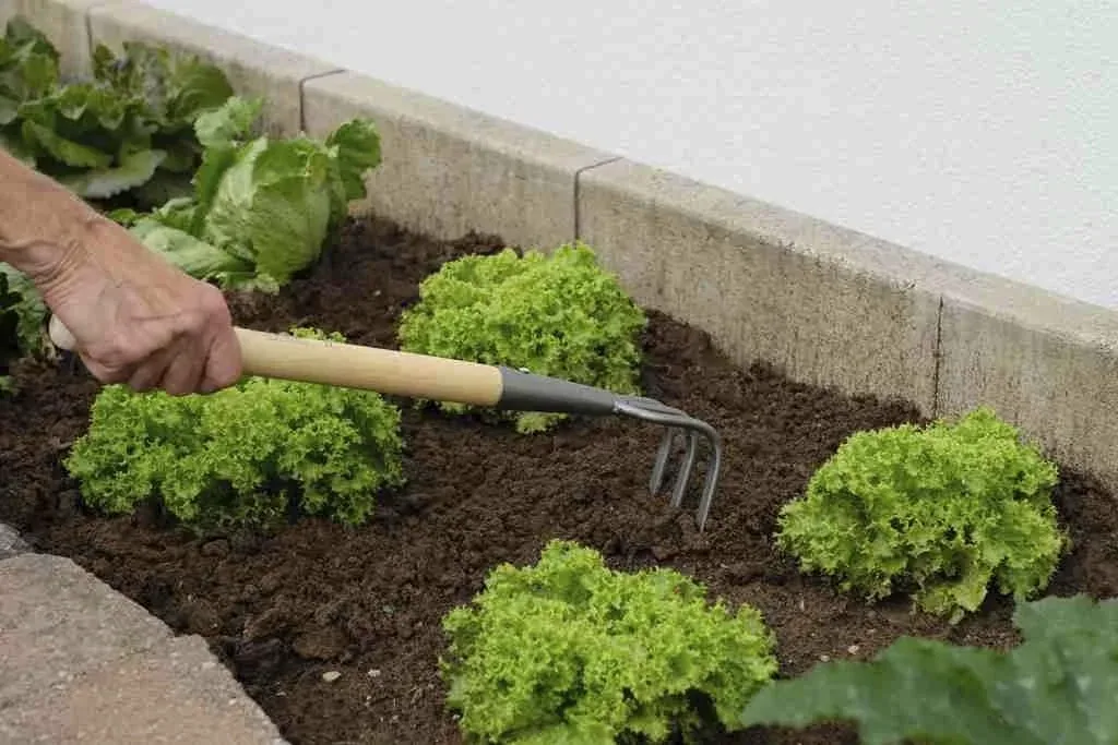 Hochbeet Grubber "64365"