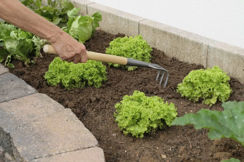 Hochbeet Grubber "64365"