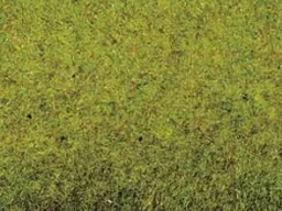 Grasmatte Sommerwiese 200 x 100 cm