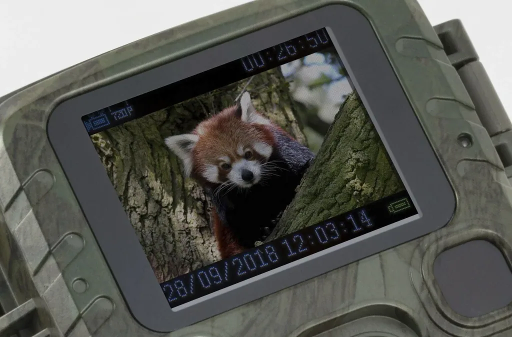 Mini Wildkamera Full HD Videoauflösung mit Nachtsicht