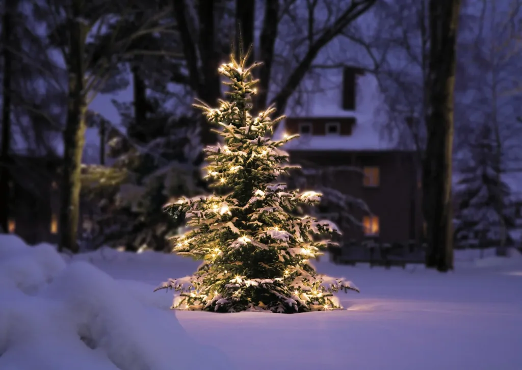 Kabellose Christbaumkerzen für den Innen- und Außenbereich, 15 Stück mit Fernbedienung