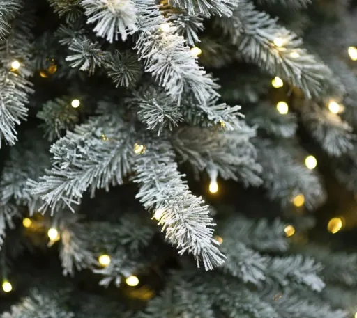 Weihnachtsbaum Fichte Frost 210 cm