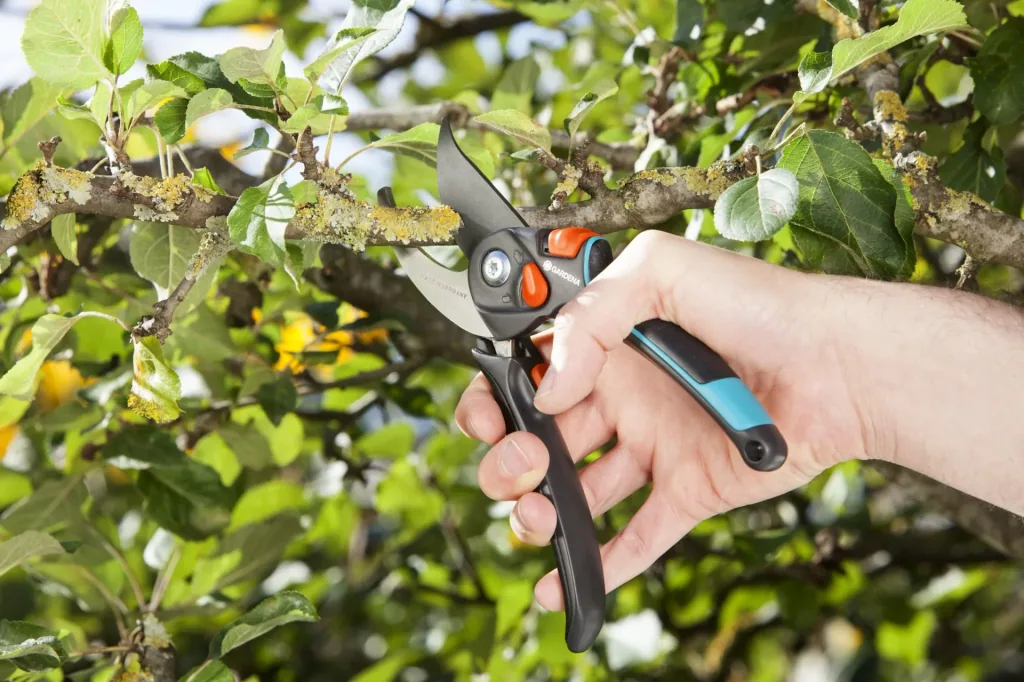 Gartenschere B/S-XL