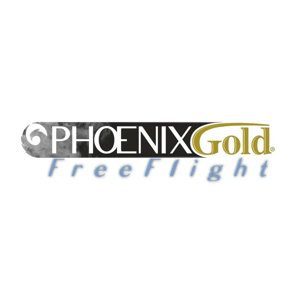 Phoenix Gold FreeFlight Bügeleisen, kabellos