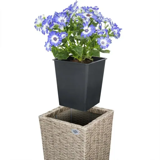 Blumentöpfe Polyrotan 3er-Set mit Sahne