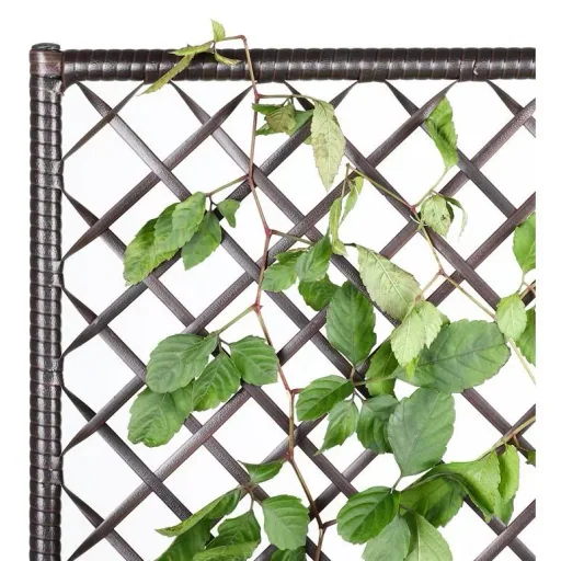 Polyrattan Pflanzgefäß mit Spalier Braun