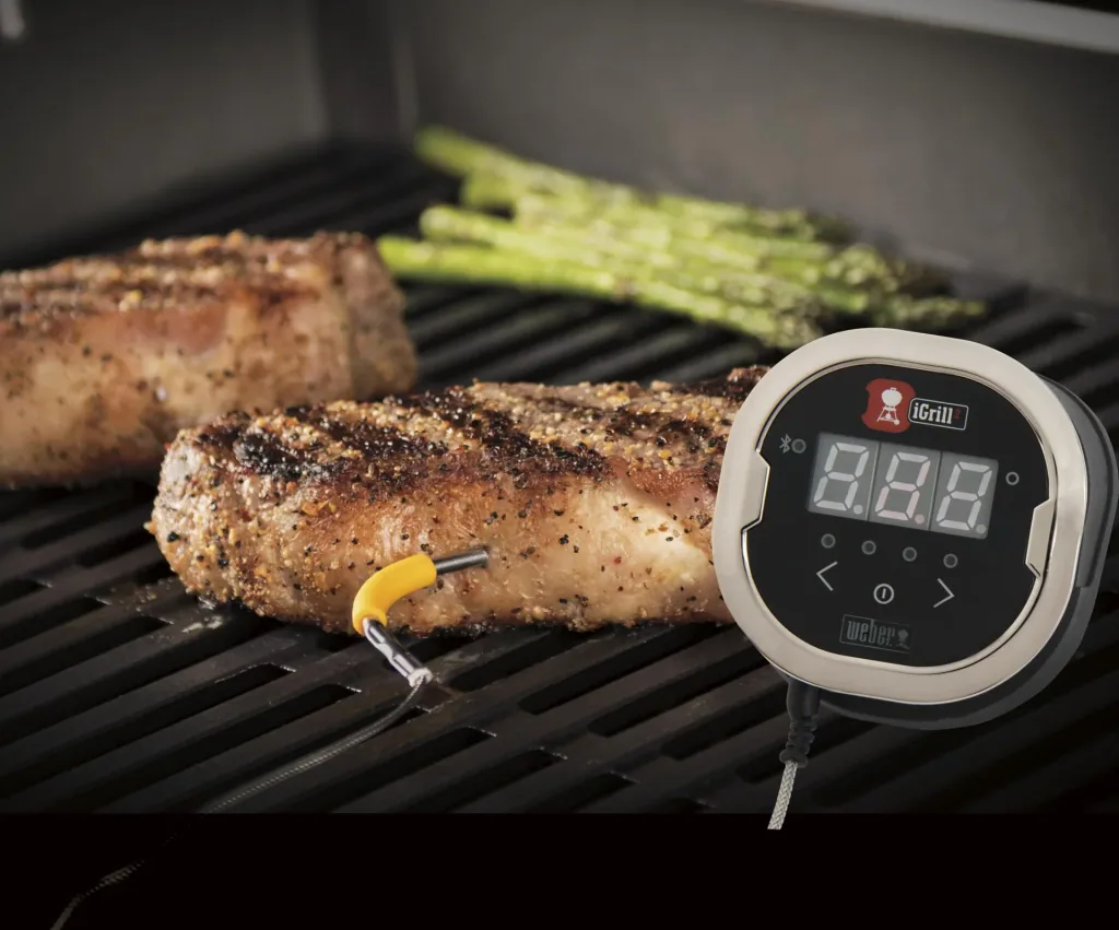 Thermometer iGrill 2 mit zwei Messfühlern