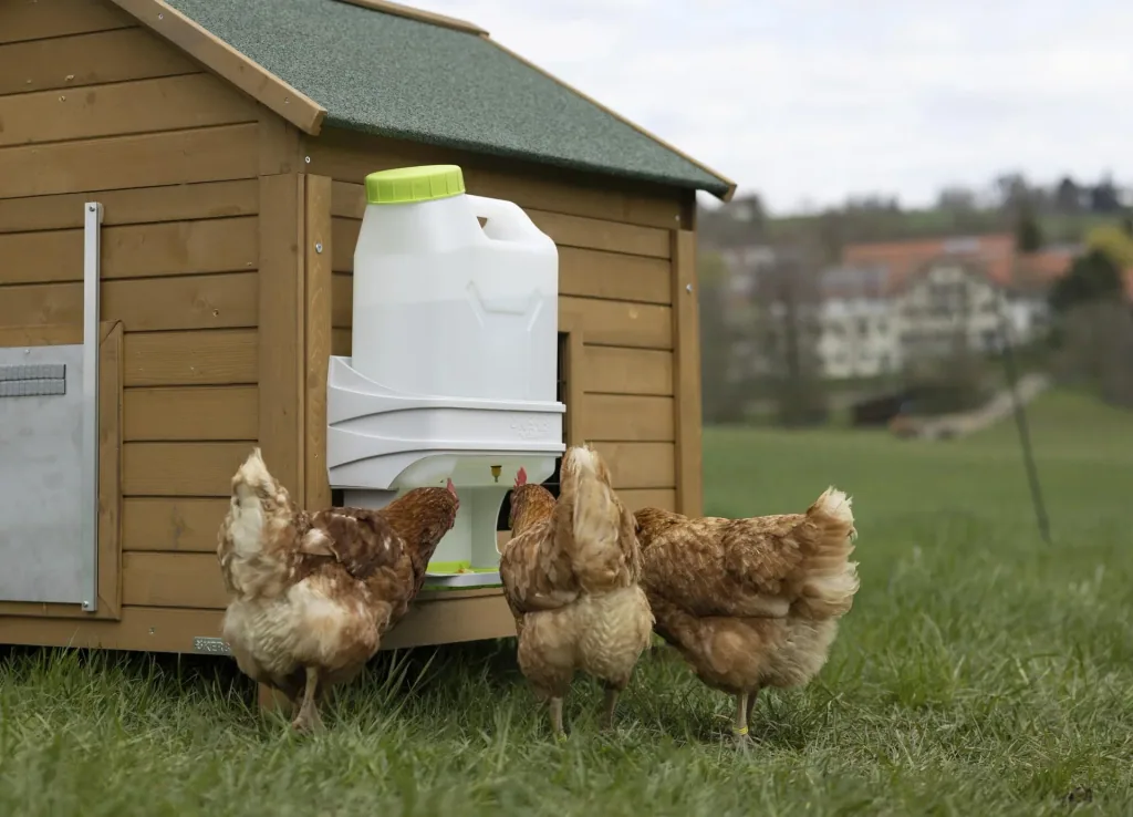 SmartCoop Geflügeltränke 10 Liter