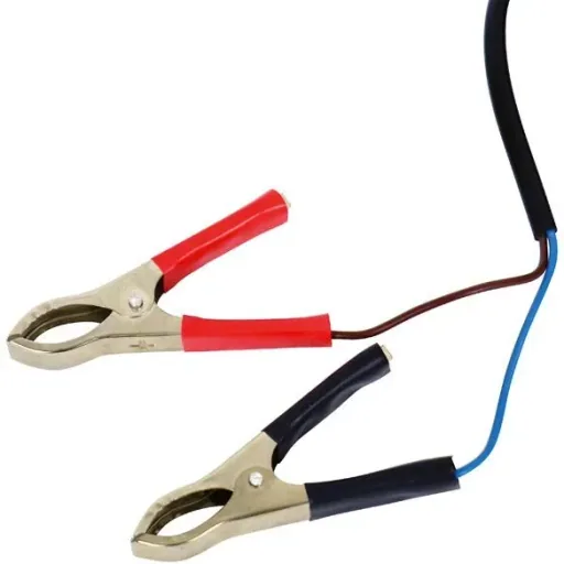Transferpumpe Mini 12V