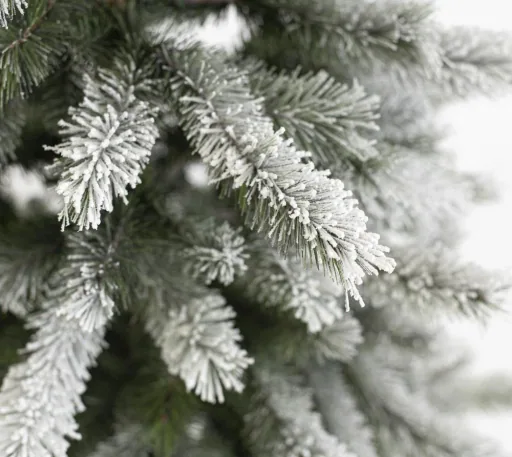 Weihnachtsbaum Fichte Frost 150 cm