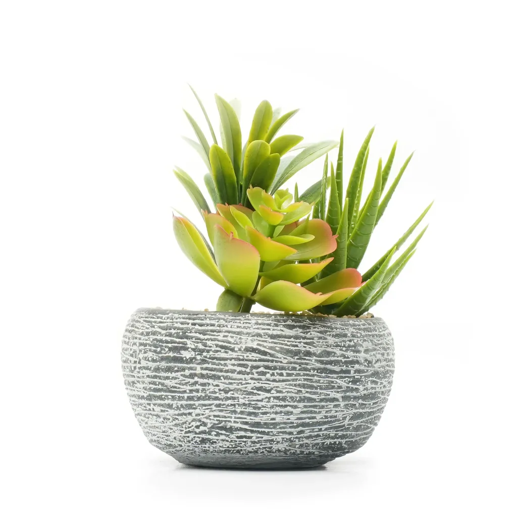 Kunstblume Sukkulenten im Beton 2er Set