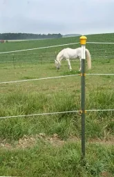 Metallpfahl T-Post, 167 cm, 100 Stück