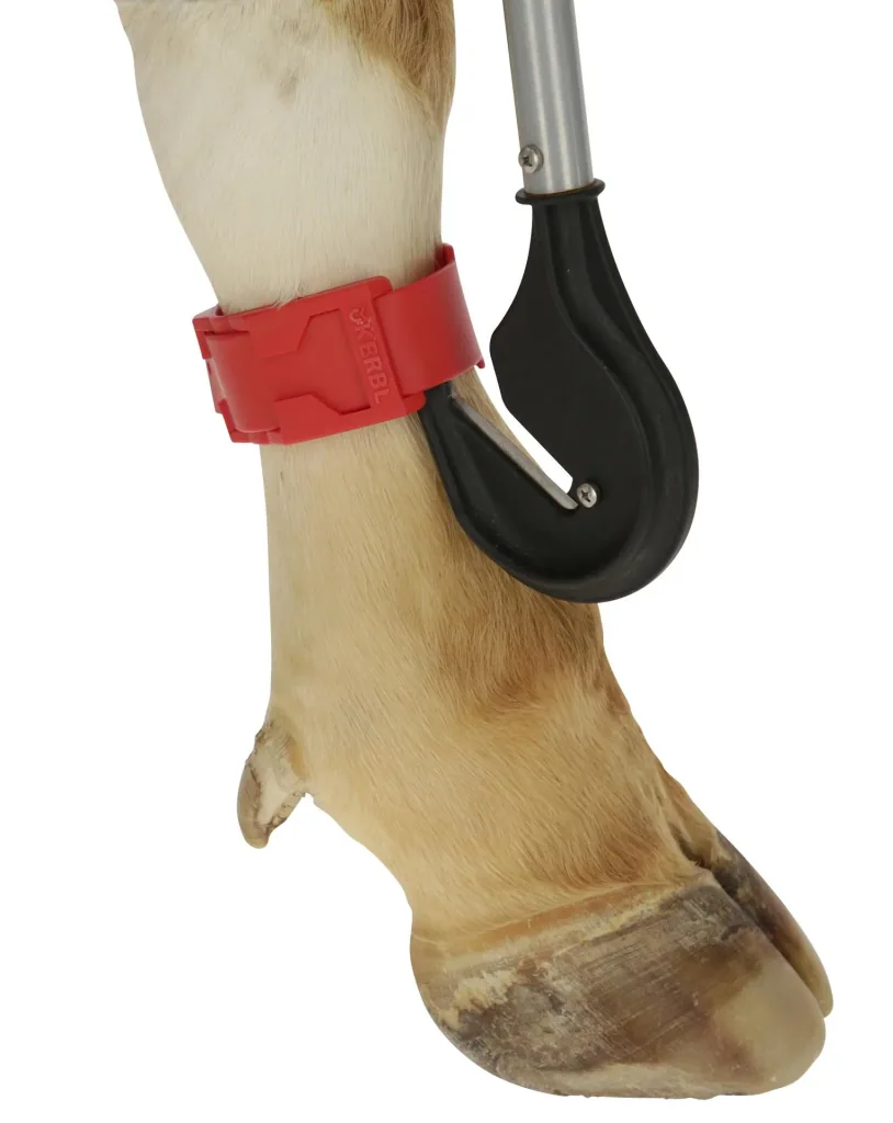 Bandagen-Messer mit auswechselbarer Klinge