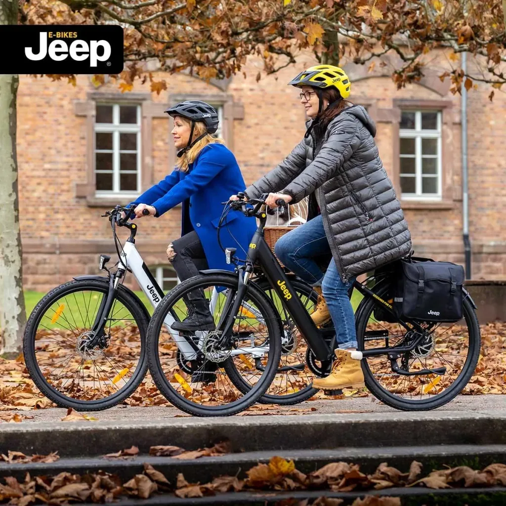 E-Bikes doppelte Gepäckträgertasche