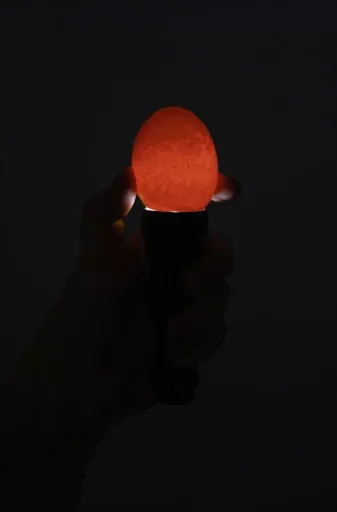LED-Schierlampe