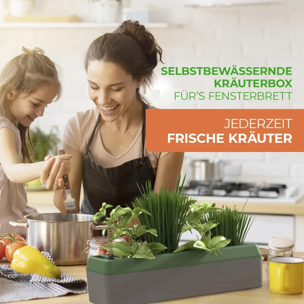 Kräuterbox "Provence"