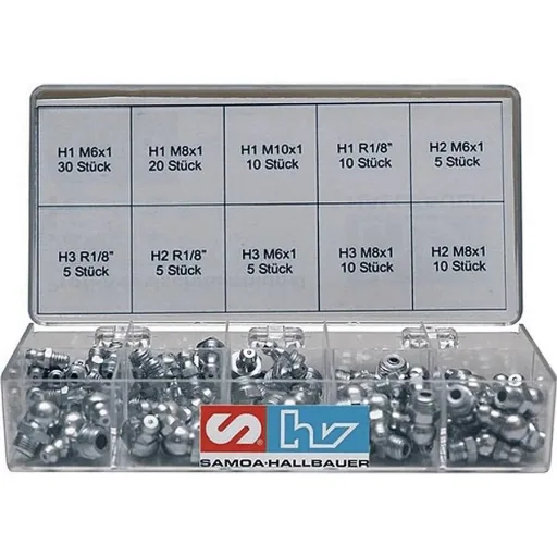 Profi-Kegelschmiernippelsortiment "Serie H", 110-teilig