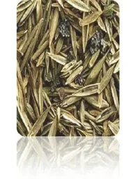 TerraVital Pracht&Eleganz Rasen Samen Mix - 3 kg