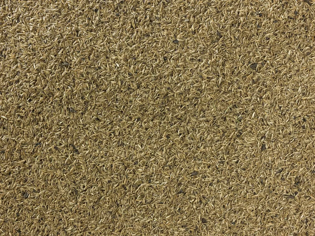 TerraVital Pracht&Eleganz Rasen Samen Mix - 3 kg