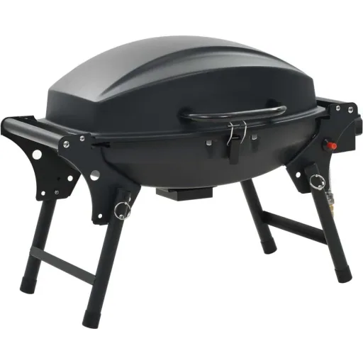 Gasgrill mit Kochzone schwarz