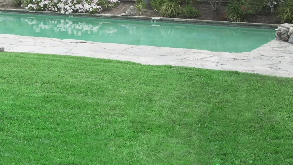 Hydro Mousse - Begrünungssystem Rasennachsaat