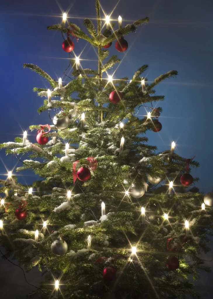 LED Kerzenlichterkette 30er, 50 cm Abstand
