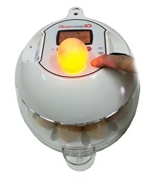 Inkubator R-COM10 PRO PLUS für 10 Eier